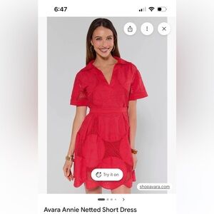 Annie Netted Short Dress - Red